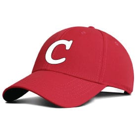 Flexfit Wooly 6 Panel Hat