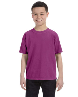 Comfort Colors Youth Garment-Dyed T-Shirt C9018 | Boysenberry - Front