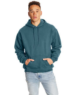 Hanes Ultimate Cotton Pullover Hoodie Sweatshirt F170 | Cactus - Front
